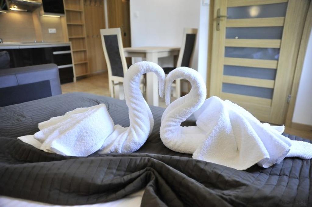 Apartamenty Watra Rabka Εξωτερικό φωτογραφία